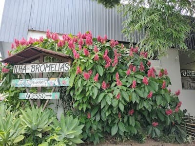 Ilha das Bromélias - Foto 8