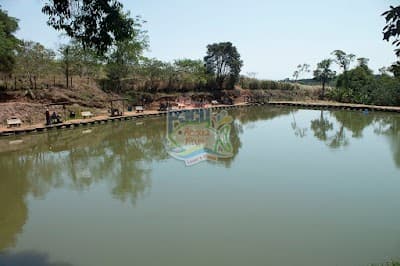 Pesqueiro do Pacu - Foto 2