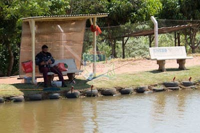 Pesqueiro do Pacu - Foto 5