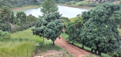 Chacara Recanto Feliz - Foto 4