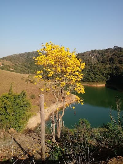 Chacara Recanto Feliz - Foto 5