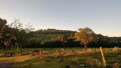 Sociedade Vinhedos - Foto 3