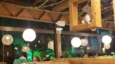 Mundo Animal Lanchonete Temática - Viamão - Foto 6