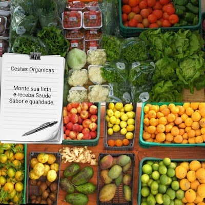 Gabella Organicos - Foto 2