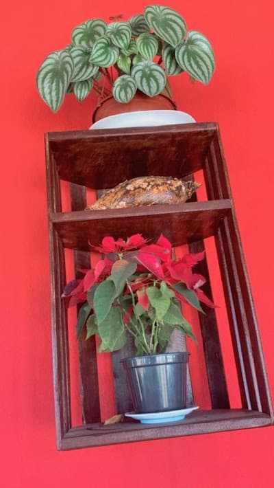 Restaurante Encantos Do Sul - Foto 2