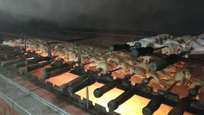 Restaurante Nova Geração - Foto 4