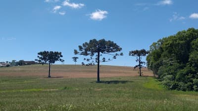 CTG VAQUEANOS D'OESTE - Foto 6