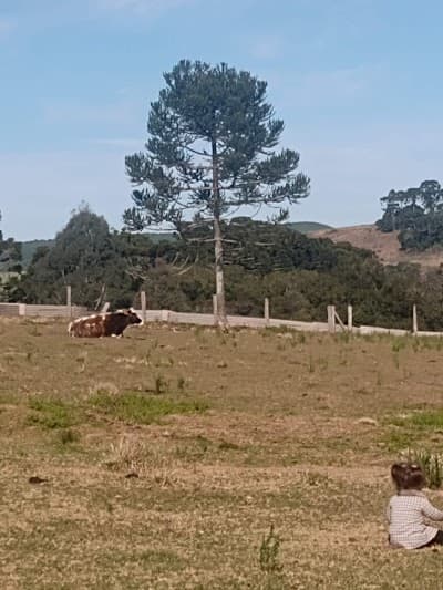 Caetano's Ranch - Foto 6