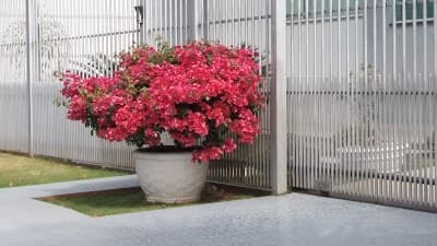 Tato's Lanches - Foto 10