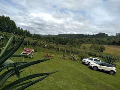 Estância do Vino - Foto 7