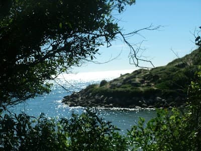 Bistrô Alecrim - Foto 10