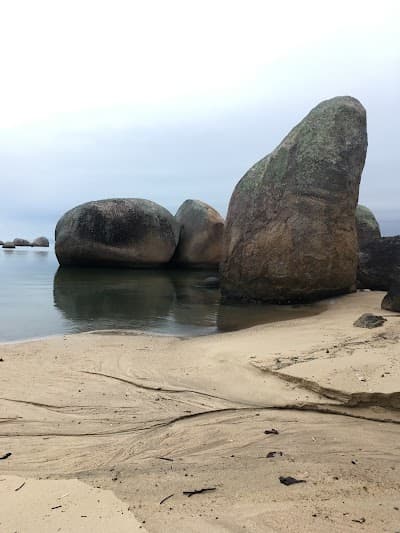 Rei do Bacalhau - Foto 9