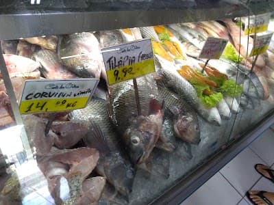 Peixaria Canto Das Ostras - Foto 7