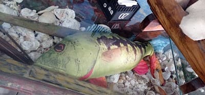 Ponta da Canoa - Foto 8