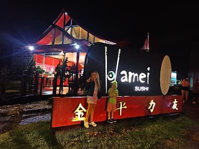 Hamei Sushi Pedra Branca - Foto 6