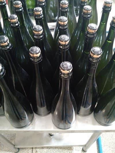 Bier Hoff Microcervejaria - Fábrica - Foto 10