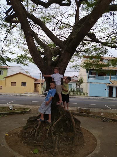 SORVETERIA E DOCERIA ÉVELYN